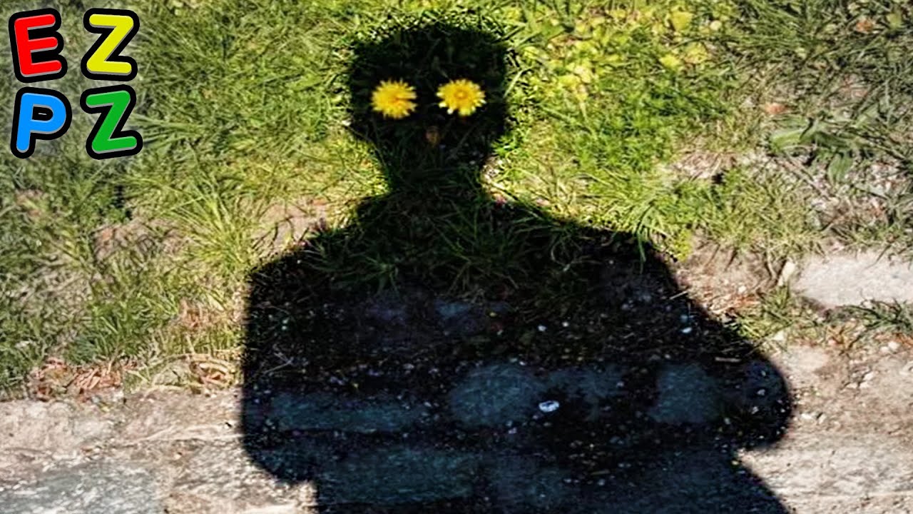 r/Tumblr · this is how hippies are born.