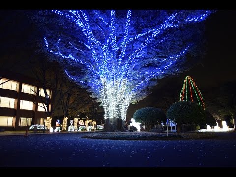 J Cross Winter 2015点灯式 | カウントダウン