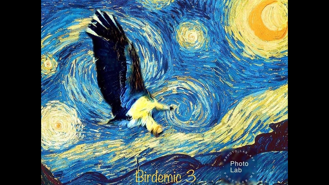 Birdemic 3 - Teaser Trailer #1