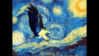 Birdemic 3: Sea Eagle (2022) Video