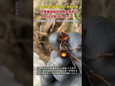 Seven people went to remove a hornet's nest, carrying only one protective suit. One person died f...