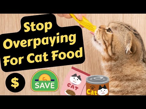 How To Save Money On Cat Food (Without Sacrificing Your Cat’s Health)