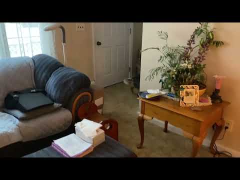 S16w1 squeaks 1 hide