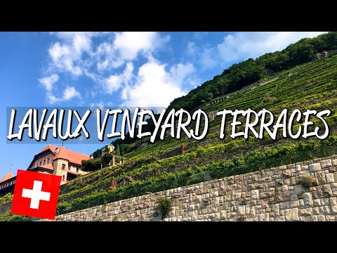 Lavaux Vineyard Terraces - UNESCO World Heritage Site