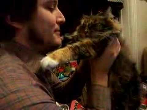 sharice and xabi love