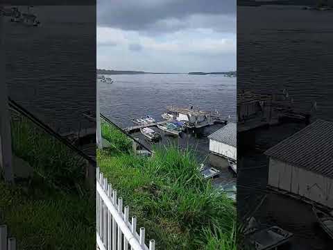 Barcelos Amazonas #nature