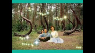 The Browns - In The Pines