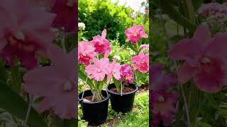 23 de março de 2026