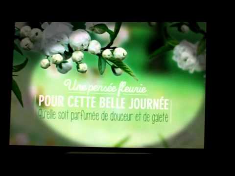 Joyeux Anniversaire Josette