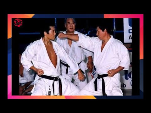 The Best Shotokan Karate Master   -  HIROSHI  SHIRAI #shotokan