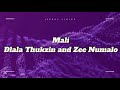IMali Lyrics Dlala Thukzin Ft Zee Nxumalo Sykes