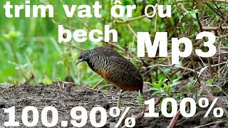 Download lagu 18 កញ្ញា 2022 mp3