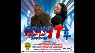 Sugar Jay & Springs - Bring it ( Spice mass 2013)