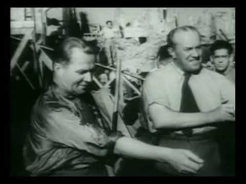 De l'alliance à la méfiance