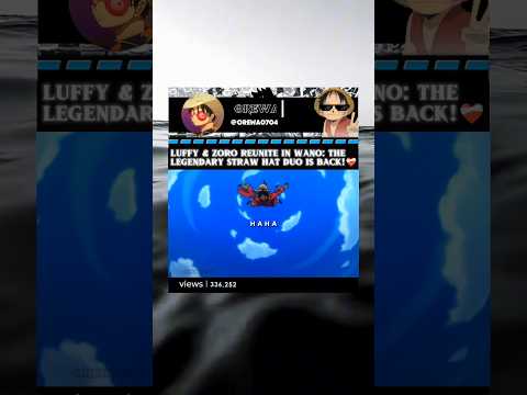 The Legendary Straw Hat Duo Is Back! #onepiece #luffy #zoro