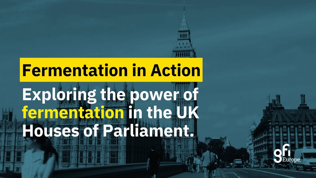 Fermentation in Action: Exploring the power of fermentation in the UK Houses of Parliament