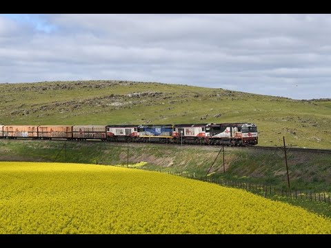 Callington Curve Canola Catch-Rail Action in the Adelaide Hills and Pacific National, 7/09/21