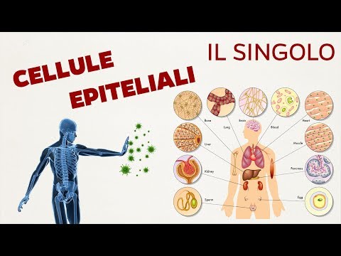 Prostatite Thioctacid Trattamento prostatite Trichomonas