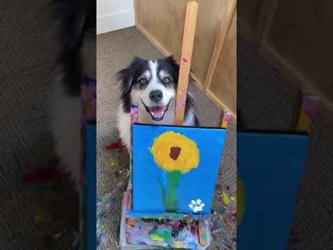 Amazing! Dog Draw a sunflower!🌻💛