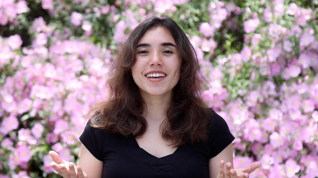 SDCCD Online Class Types