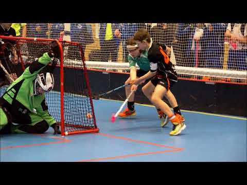 Tillberga Roosters P13