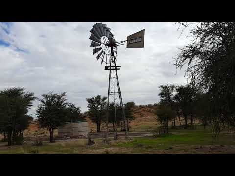 Kgalagadi Water Holes 2