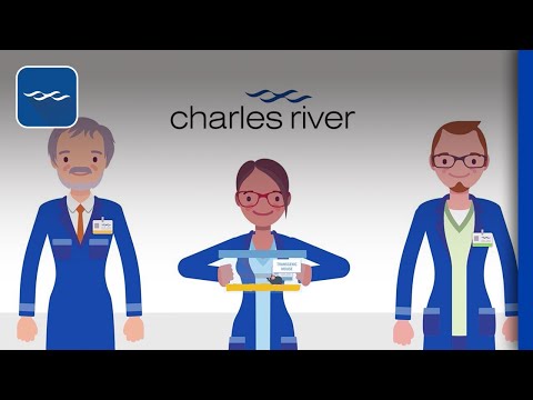 Considerations for creating knockout mice and other transgenic animal models.