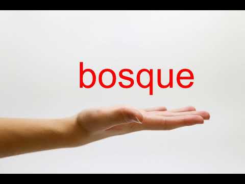 How to Pronounce bosque - American English