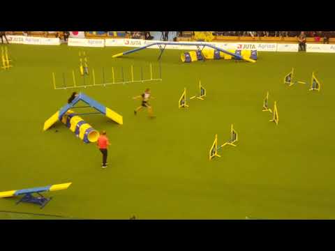 DOERTE 1st place Tobias Wust Small Agility AWC 2018