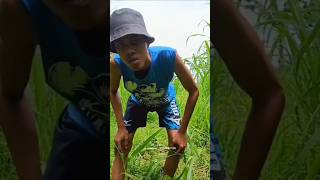 Download lagu duet masiyun - fauzana ciinan bana || full video di beranda channel mp3 Download lagu duet masiyun - fauzana ciinan bana || full video di beranda channel mp3