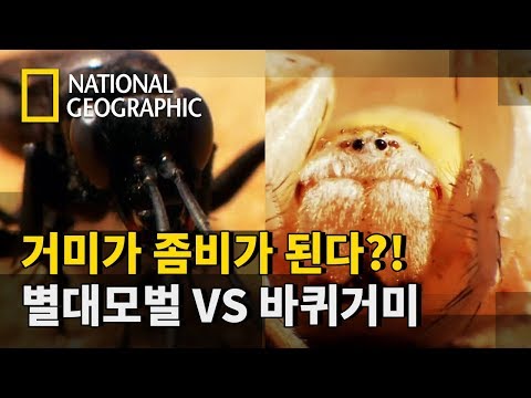 아이콘