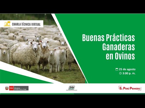 , title : 'Charla técnica virtual: Buenas prácticas ganaderas en ovinos'