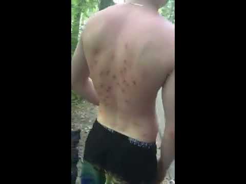Испытываю страйкбольный автомат