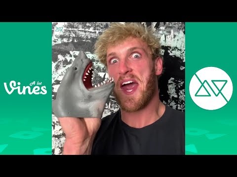 Funny SHARK PUPPET Instagram Videos 2019