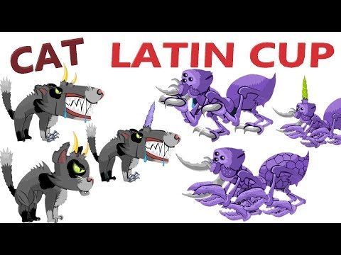 Mutant Fighting Cup 2016 Cat Edition - LATIN CUP (Ep.2)