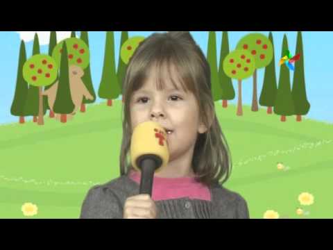 POŠALJI SVOJ VIDEO - Anđelina