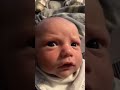 Which Scream Is Real Funny Meme Screaming