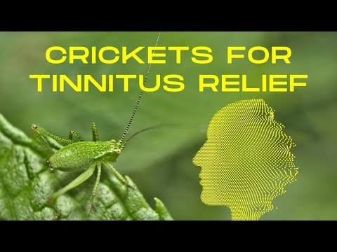 Are Cricket Sounds The New Solution For Tinnitus?
