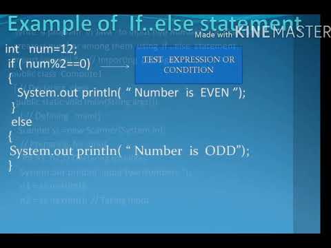 Class 9 Computer Applications Chapter 9 Conditional Construct In Java Part 2
