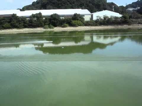 Amaging fast outrigger by Master Y, unofficial national record in qualification run, 12 Sep 2010.