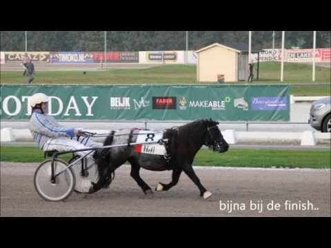 Frisian Ascot Day 2014