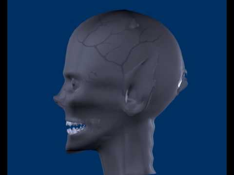 Malvern Flyaround 1.5