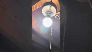 ConRex Property Management is charging us to refloor a basement room