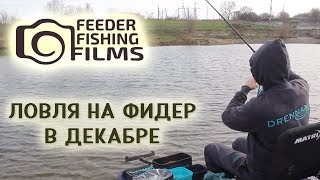 Ловля леща на фидер в декабре