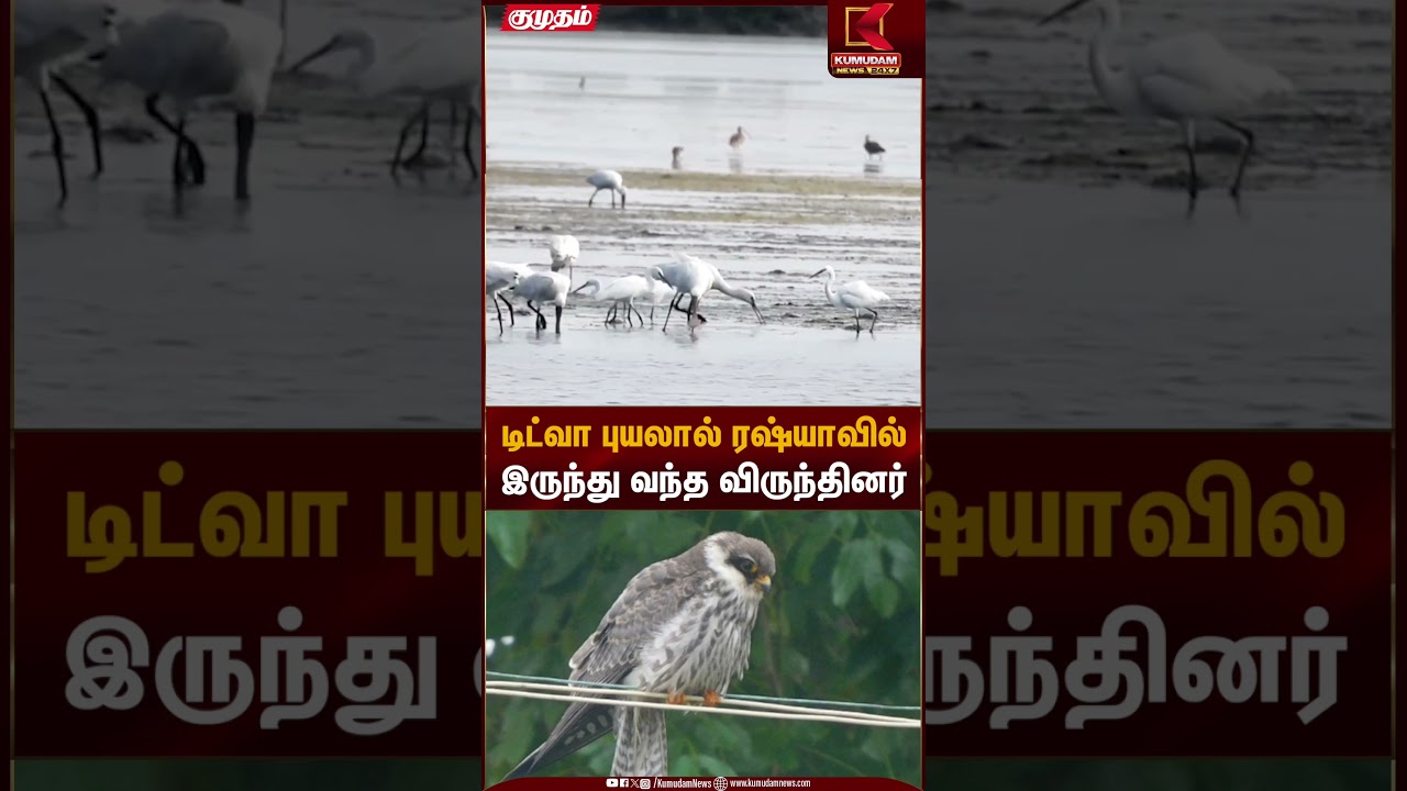 டிட்வா புயலால் ரஷ்யாவில் இருந்து வந்த விருந்தினர் | Ditwah Cyclone | Kumudam News