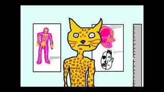 Vacaciones en Kingu 01 - 04