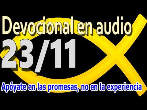 Devocional en audio 23/11 - Apóyate en las promesas, no en la experiencia
