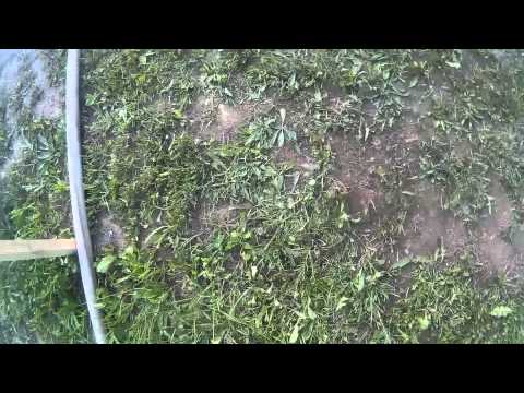 SDH Nová Ves - 30.5.2015 - PJP - Cetenov - Rozdělovač - SPORT 2.pokus