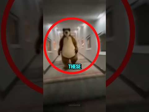 "Top 5 Fastest Animals in the World You Must Know 🤯😱"