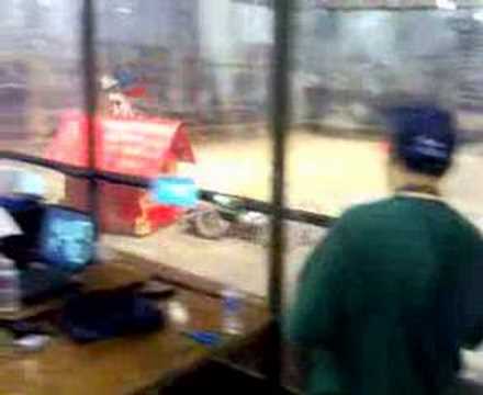 Red Baron vs Little Blue Engine at Robogames 2007